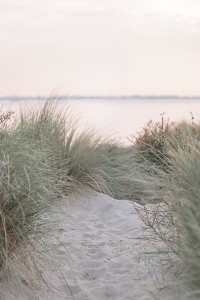 Inzicht en Inspiratie