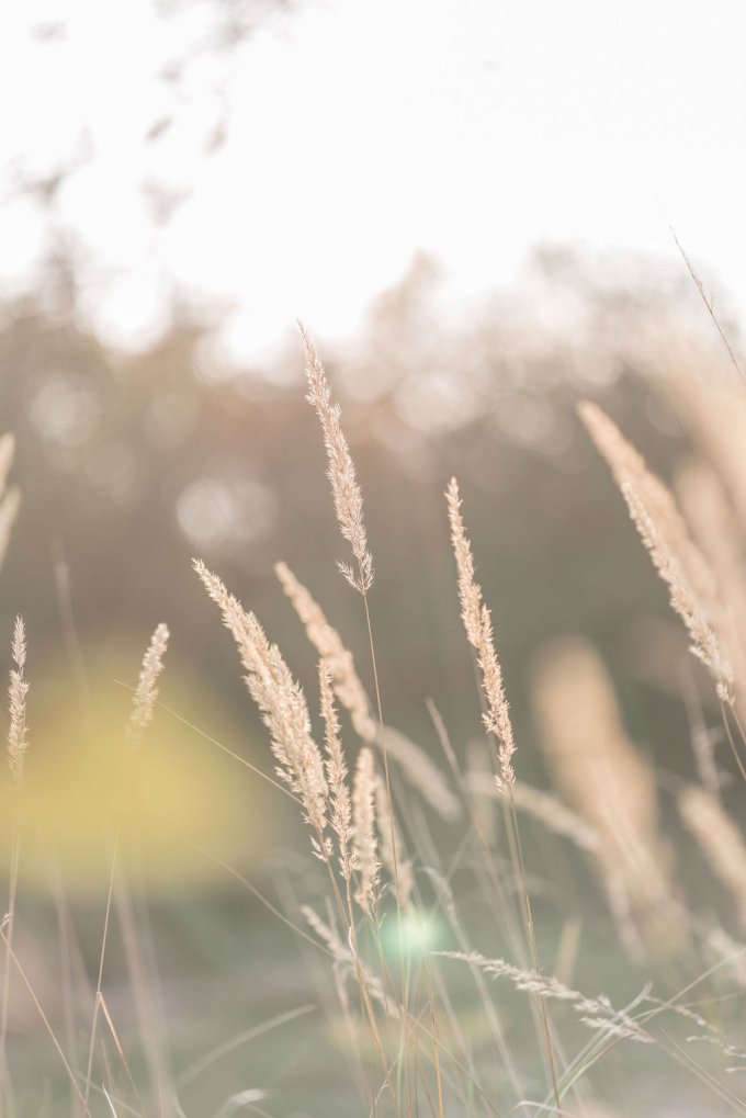 Landen in je pure zelf voor Innerlijke Rust